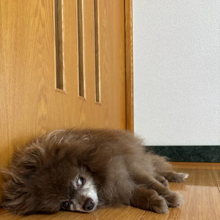 2ad72b5d 94f1 44b2 ba8f 4cf2624ec9b2 1751400104049