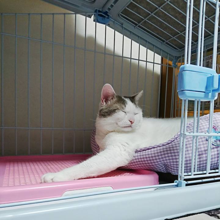 2ad75cd4 89ae 42d3 9fb8 ac08bb56205a 1535723968357