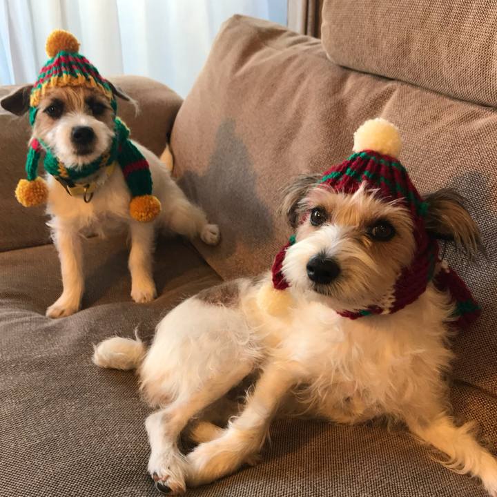 2ad7907d e048 4918 88c4 42e9ab9043e6 1763214666124