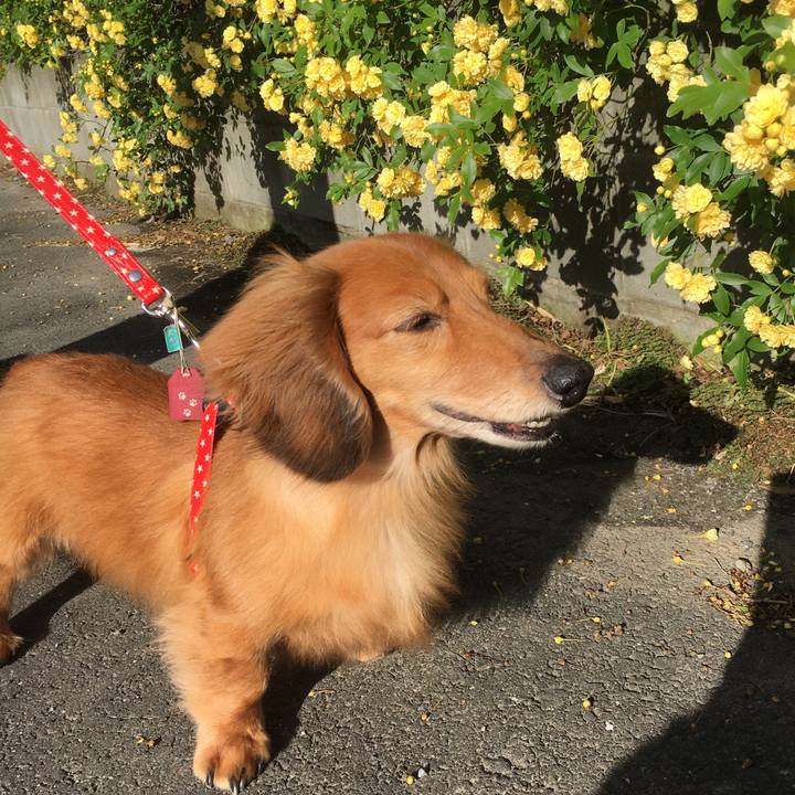 2ad7e441 7d4f 4b28 b363 7a6cc67551c3 1588167130802