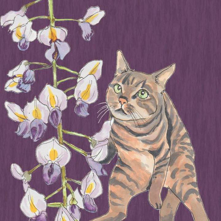 2ad81ac4 044c 4cb2 97b2 8645e9626efb 1625231505431