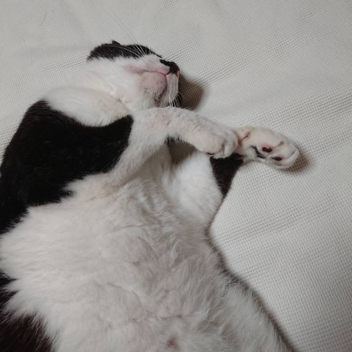 2ad881f8 6aa1 45ca be52 915bc182855e 1595810032064