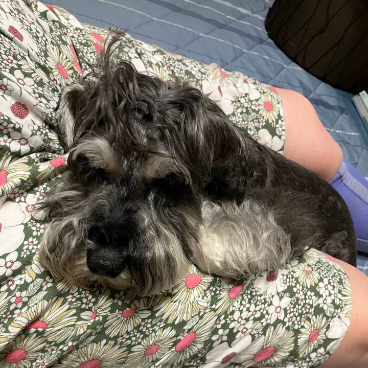 2ad8a75b d859 4357 8d3f 92a4853d848a 1719921906804