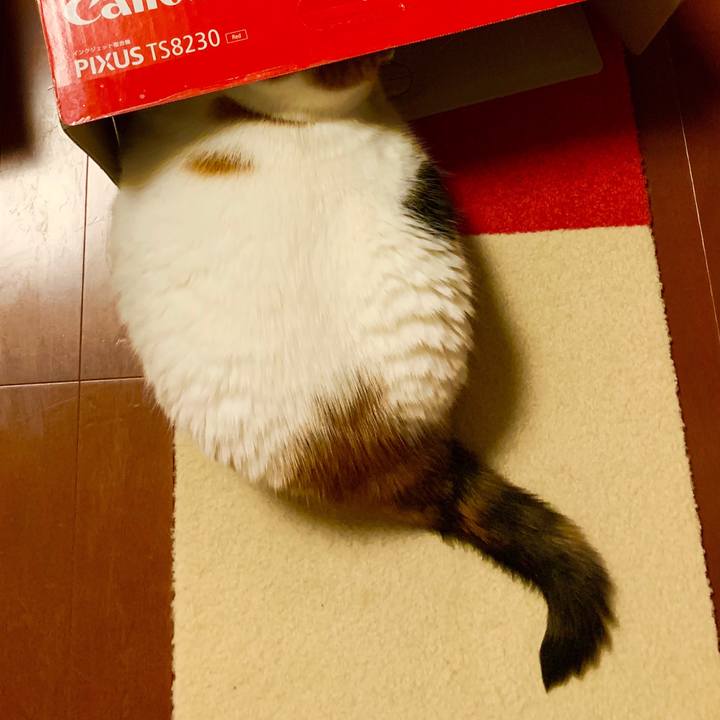 2ad8acc0 7bfd 450a a908 6df6f401b9bb 1562567671562