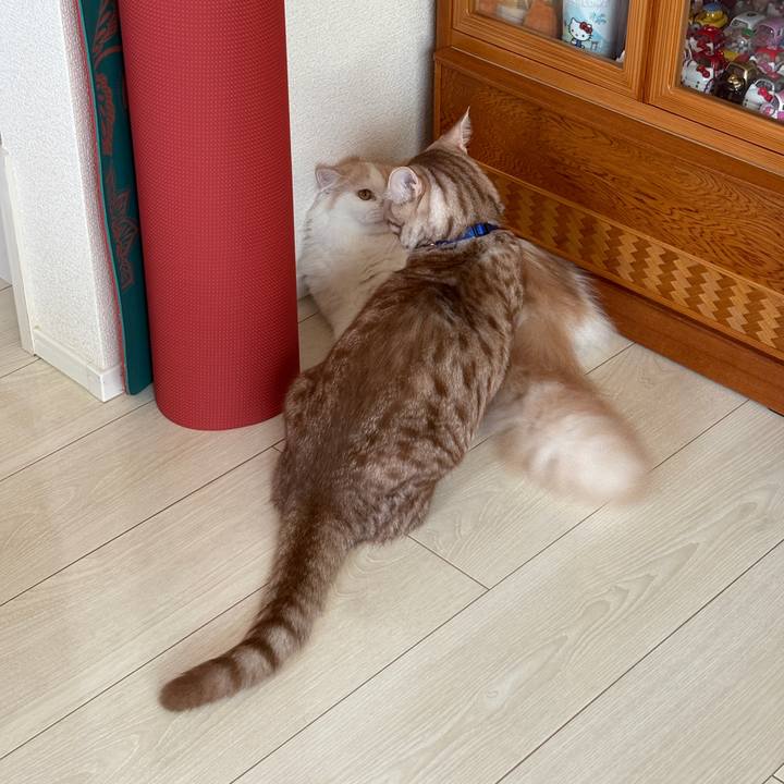 2ad8af7d 0487 4b65 9831 da9be38b0dcd 1756264150020