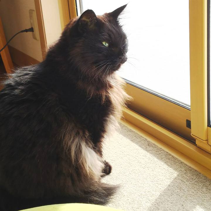 2ad8c438 730e 4907 998c 64f08670b6ab 1518399227945