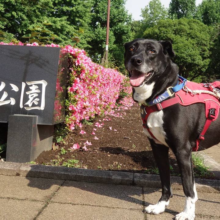 2ad8d6cd 23c9 4321 ad81 9c86a0489e55 1684629220004