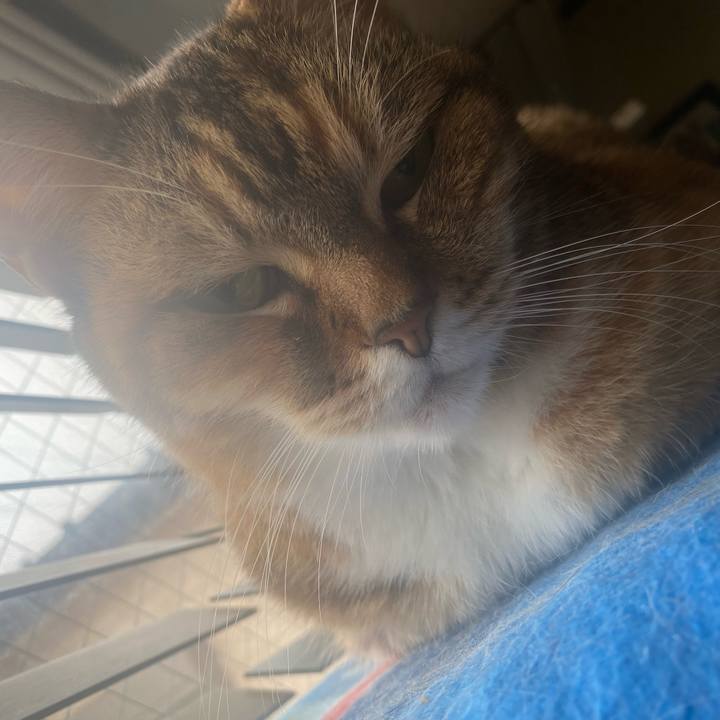 2ad8e04b 27bc 4fd2 af81 d4ff984c77f5 1745131115386