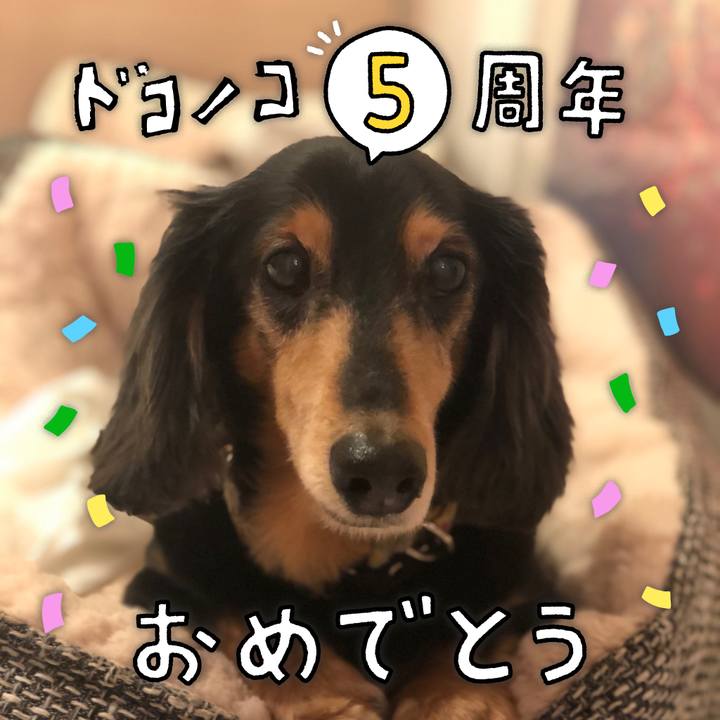 2ad8ee72 5c64 4e30 a2fc 7610c0119b89 1622899716713