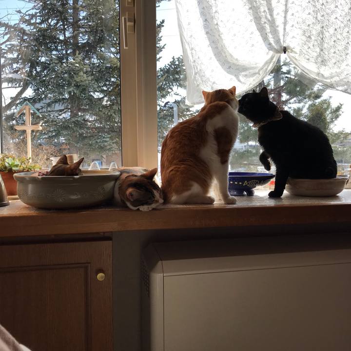 2ad92b33 141f 4f25 939a 6f9ee25566c9 1614483040845