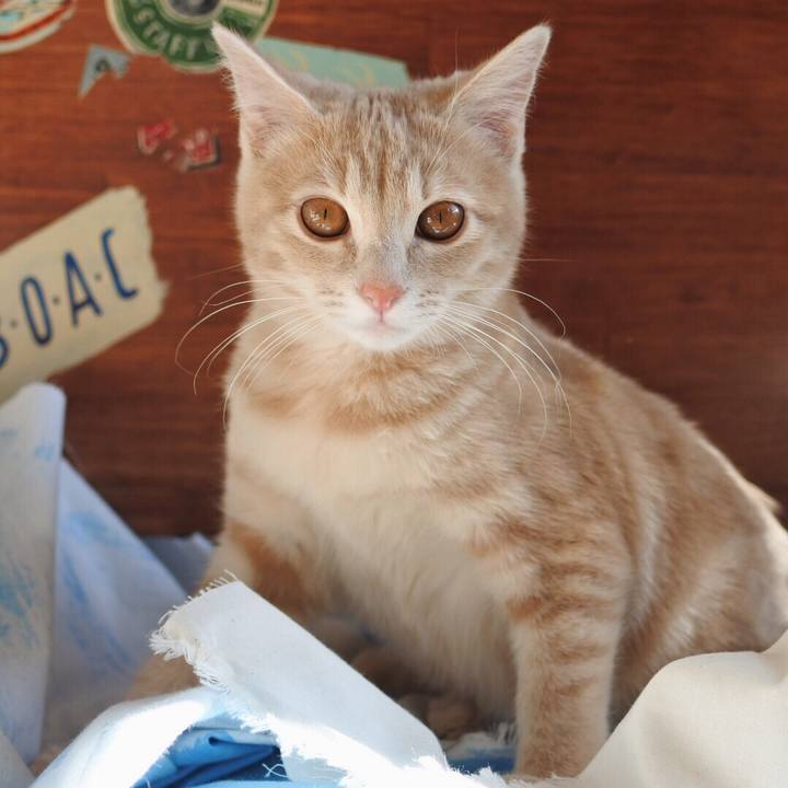 2ad932cc 41f4 437d 9401 a7751ff55785 1548914354987