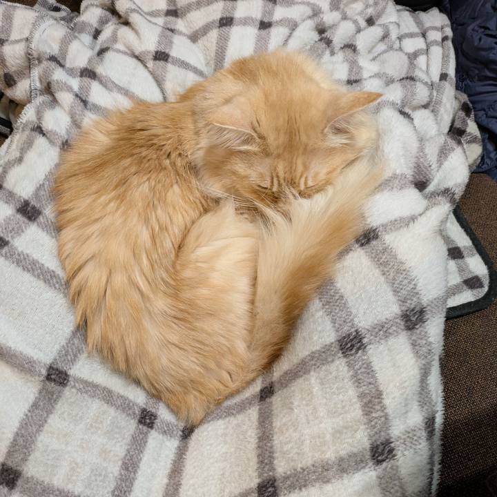 2ad96442 e3da 42cf 822a 15da8bb5dc31 1734012067552