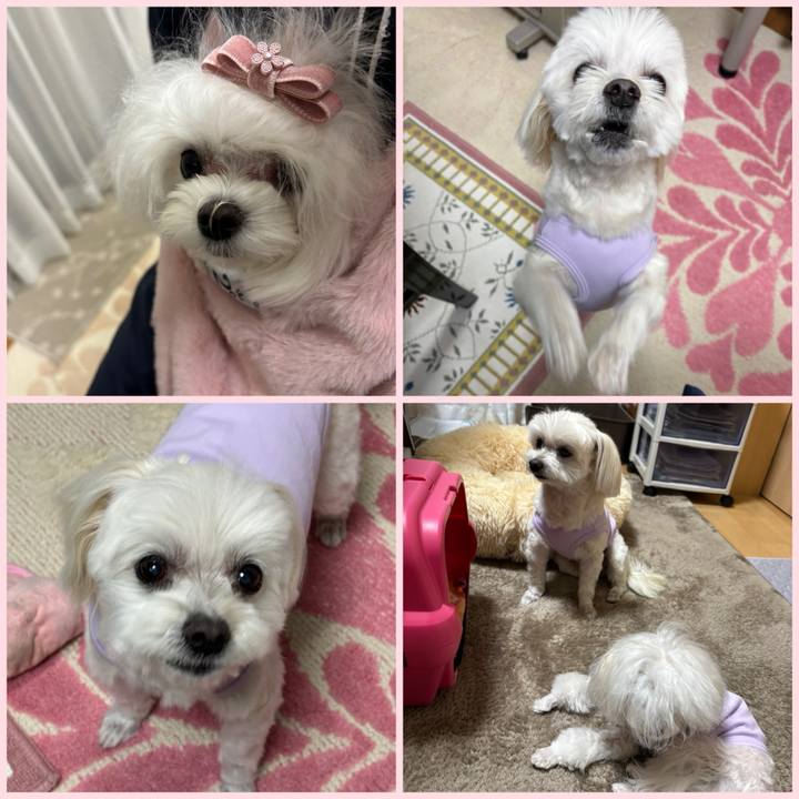 2ad9a156 f9c5 4dbc 8919 2e6097a75d7c 1737625338363