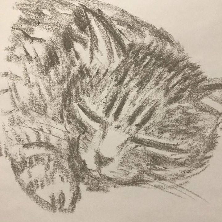 2ad9a962 9f07 4f89 ba28 28f3f5530566 1630529742554