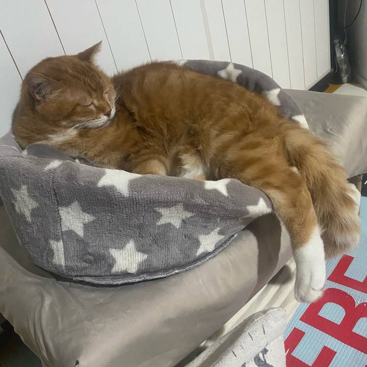 2ad9c98e 0fbc 4c69 83ef 73fc8c55a64c 1718988656290