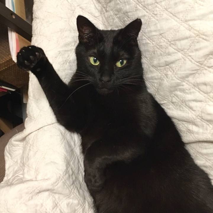 2ad9ea86 7c2d 4be6 8939 3d4725efc498 1539514271285