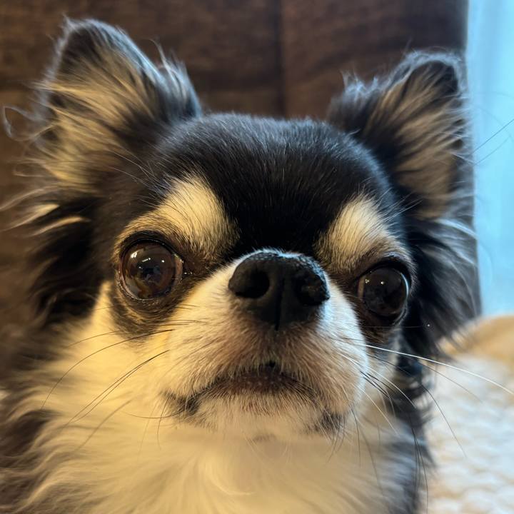 2ad9eeaa bf1f 4617 973b c5ac107d05a2 1731195120270