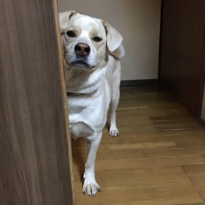 2ada059d 11dc 4a0b 8c22 d5c570fdb850 1511521665180