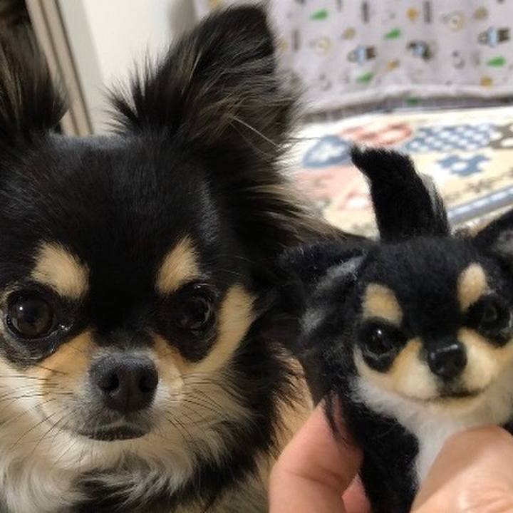 2ada0aea 04eb 4dbf b790 bc076ee45986 1583324508445