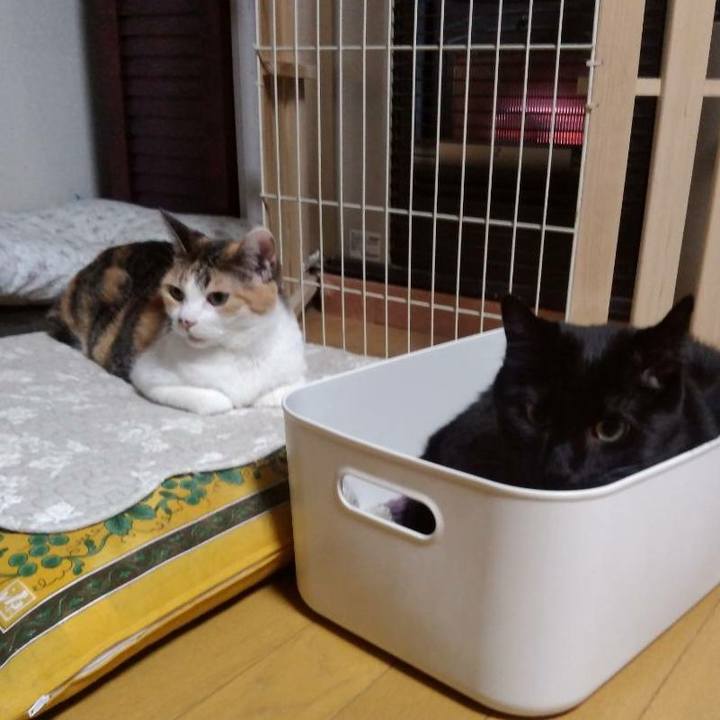 2ada41d7 0c63 41de 8434 21cd5265f048 1612963108863