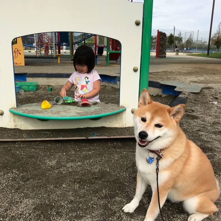 2ada9167 e563 476c 814e c980a41494cb 1537594109351