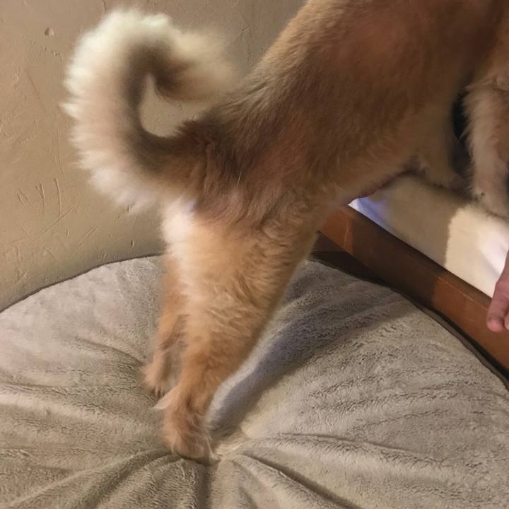 2adabed7 074e 4748 be52 1e37e8dbbb7d 1604759876055