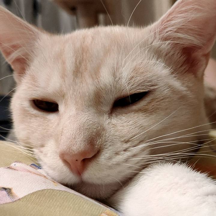 2adac291 5ab9 46ef aa2b 0219ef8a857e 1636714309331