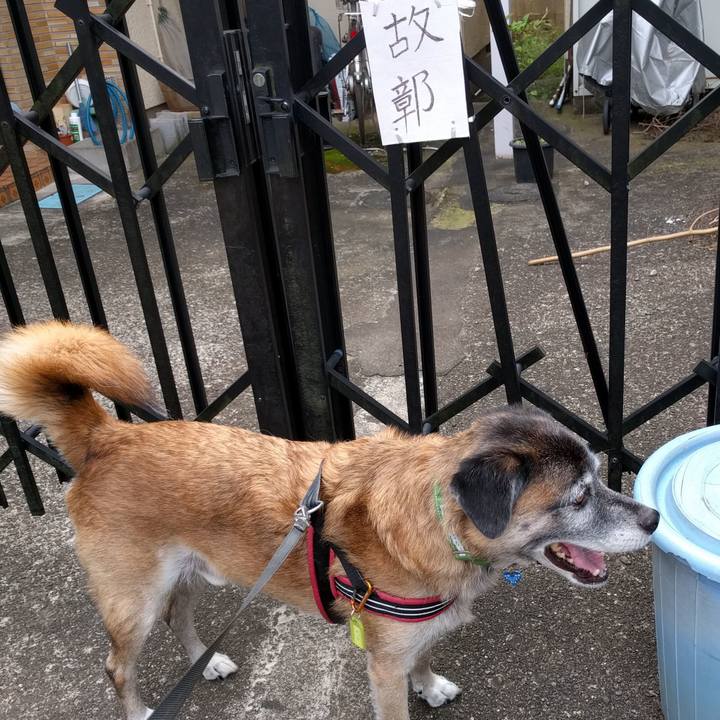 2adb4700 d342 4020 8d63 f3cb11bedf84 1536799655829