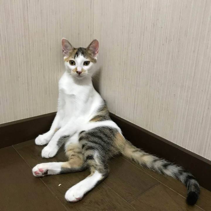 2adb5880 3e2d 42f7 a0a2 adce5ae1a470 1590365145908