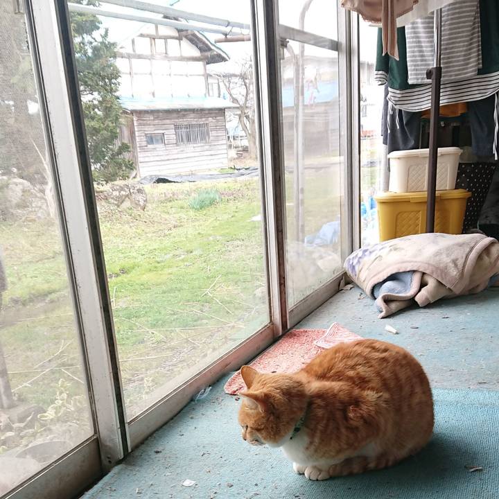 2adb6ef0 42bd 4863 a8d7 7c3a267f0c27 1584676283061