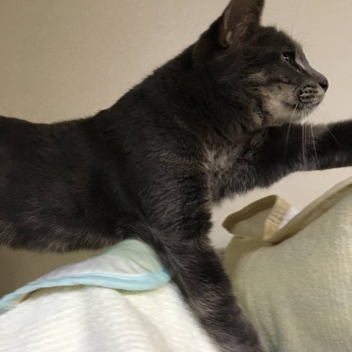 2adb8175 7c49 4a9e 801d e9da86991cc8 1593424900179