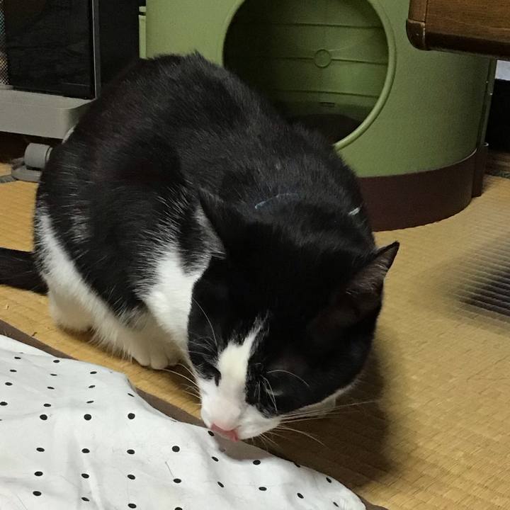 2adbd308 547e 4aae 9ef4 71cacb67b68c 1684059973607