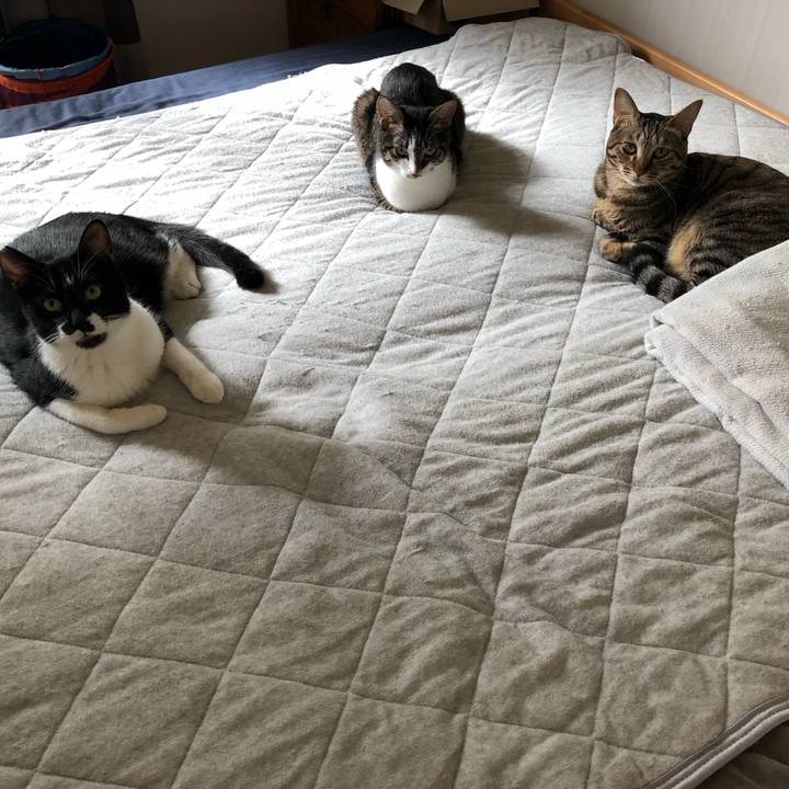 2adbd335 722b 4a8d be7e 5818184998fa 1542019676878