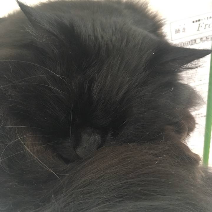 2adbe280 6782 40a9 8190 8c93110096fe 1544663703300