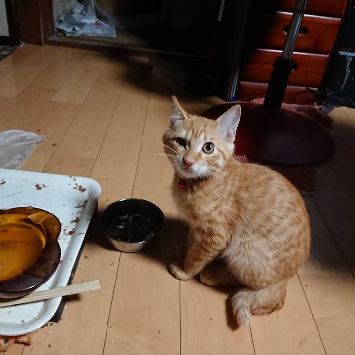 2adbe383 9606 4108 8dff b444cc545a1e 1633378848257