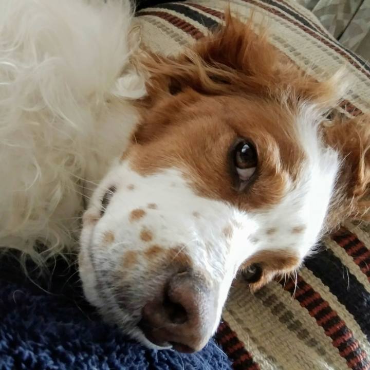 2adc23ba e596 478e ae36 45d822970427 1553927177793