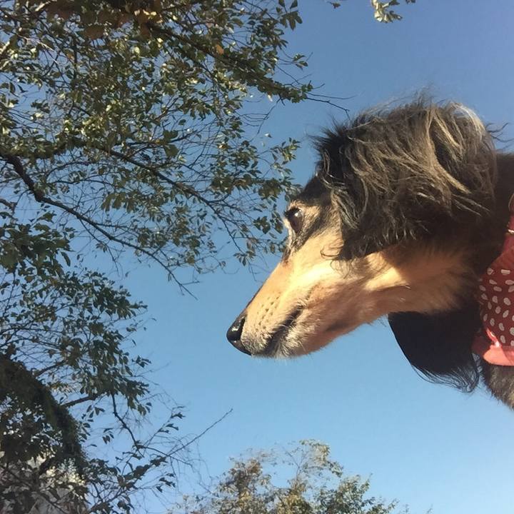 2adc4ba8 10e8 4ca6 a9cf 0beae36d81df 1540168284883