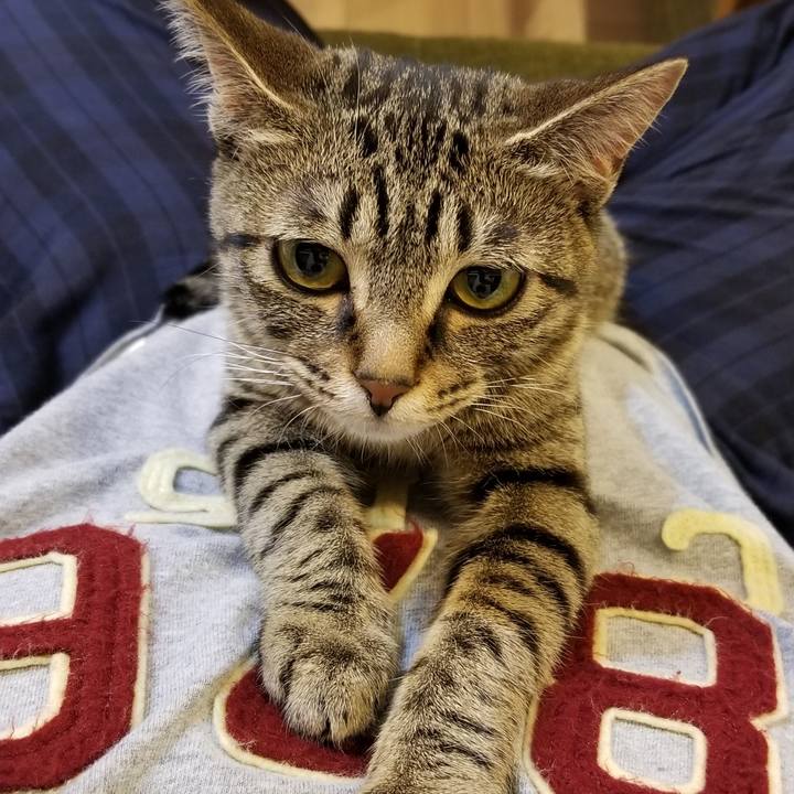 2adc5191 4f82 4083 88b7 e1842aa8ca34 1553521099041