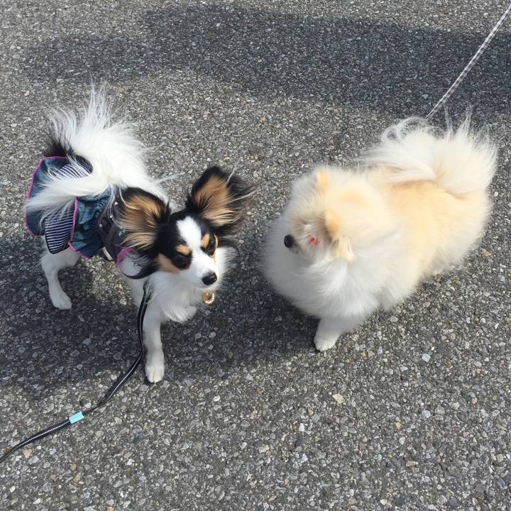 2adc681d 85bf 4303 9814 200401bb1fae 1619654406221