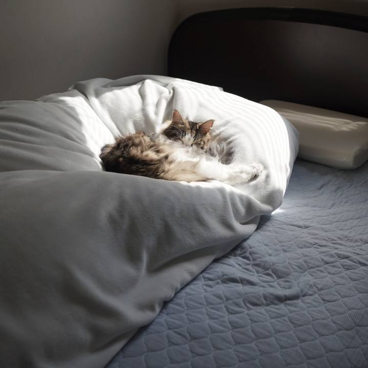 2adc87bb be9f 4fe4 ad7e a40d54602fcf 1603254581595