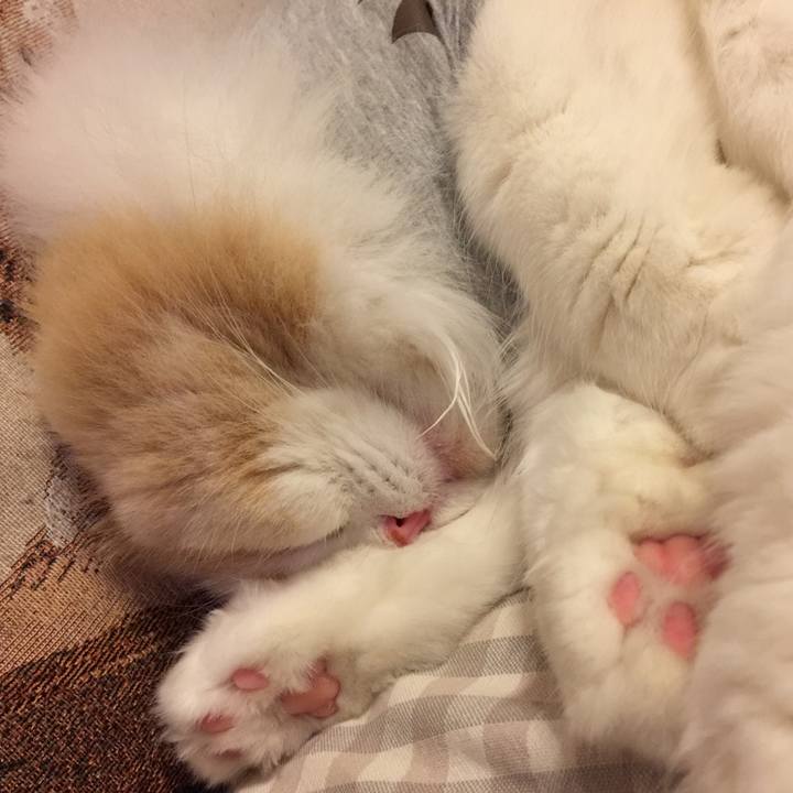 2adc98b0 6a73 4b7f a93a 64c2695ee5c8 1549028993943