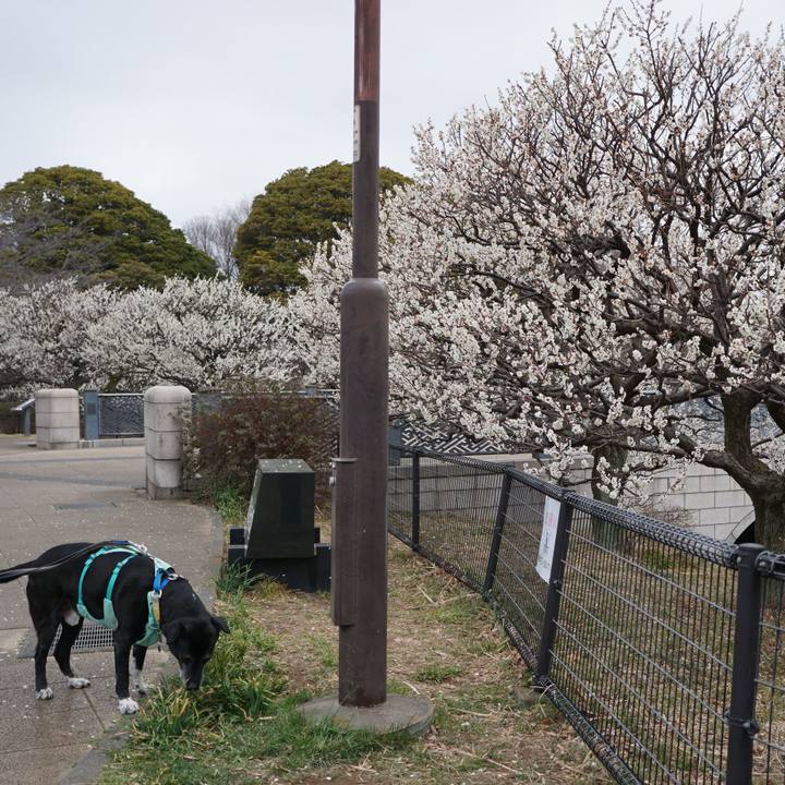 2adc9aa3 86cb 4bfd a912 22d74bea9b13 1771893594196