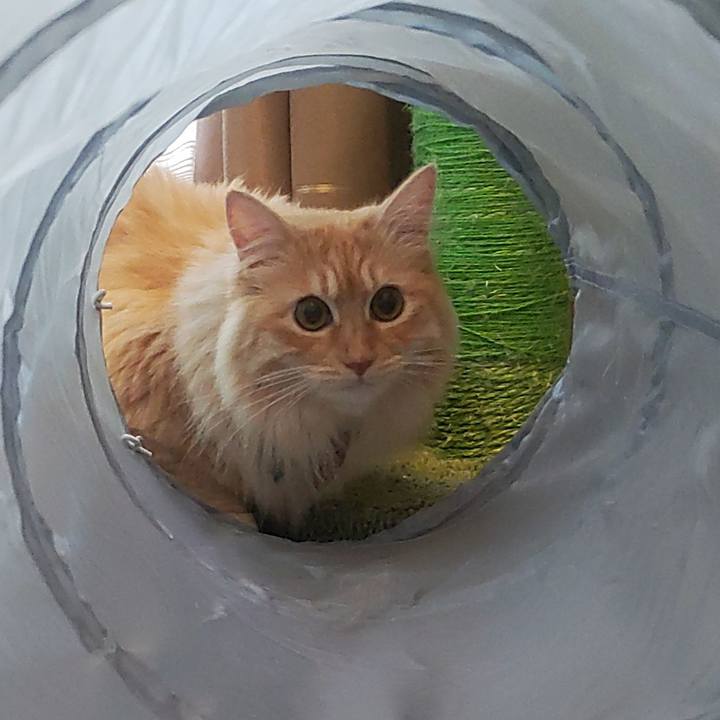 2adccac1 b63d 41d4 a3bc 59a39fa09c5d 1655937424626