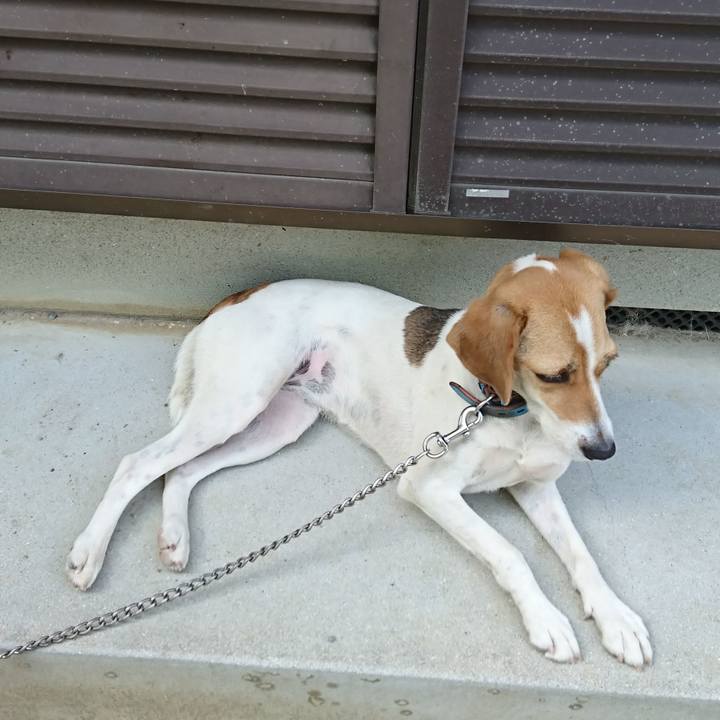 2add1bcb 0d45 46b0 9905 368a4d0d6a30 1568252651217