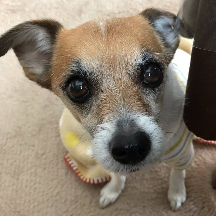 2add55b7 2344 4e98 bcd0 66ac1f731fdf 1552187502852