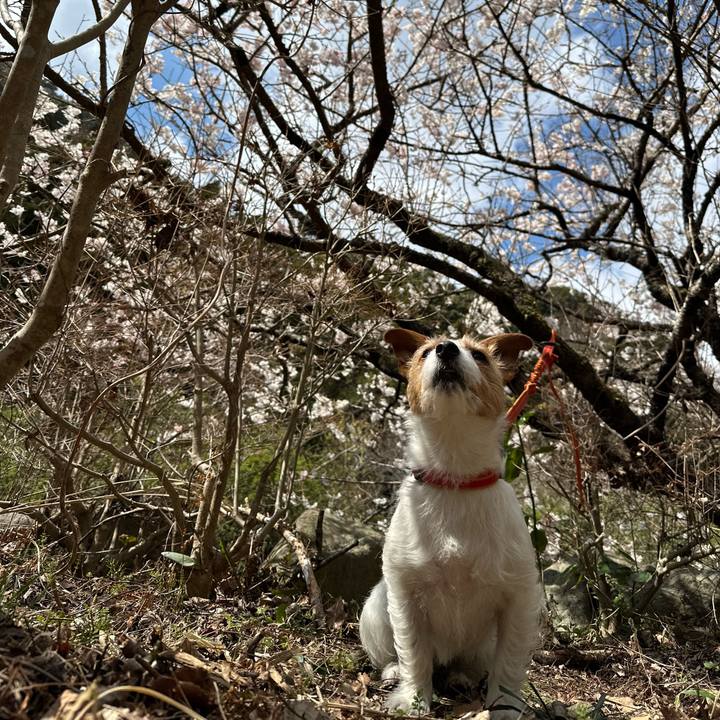 2addc270 7599 493d b5ff 739623ad741f 1773559795954