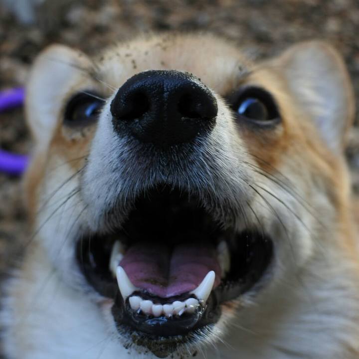 2addc309 1e6e 4b04 aa32 23f69e604c41 1512043765007