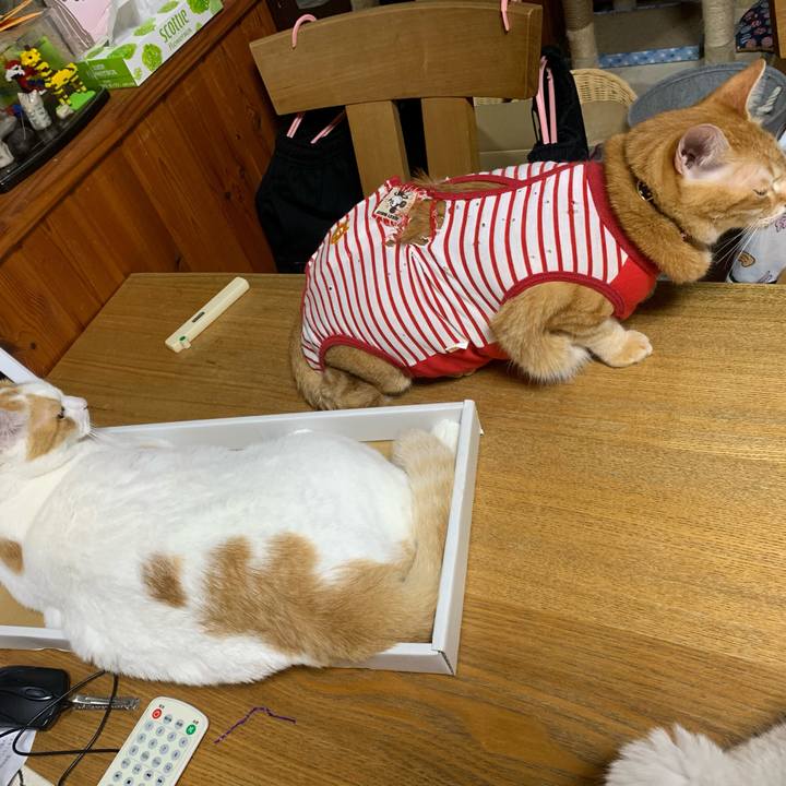 2addff2a 3c83 471a a6f4 a8a4f9f99ba5 1593005918344