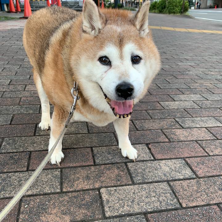 2ade055d a433 4ea0 9ecd df01c85fdb5a 1630407078147