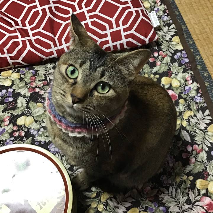 2ade4f2b c3db 4026 95d1 0575ff666cab 1619695380976